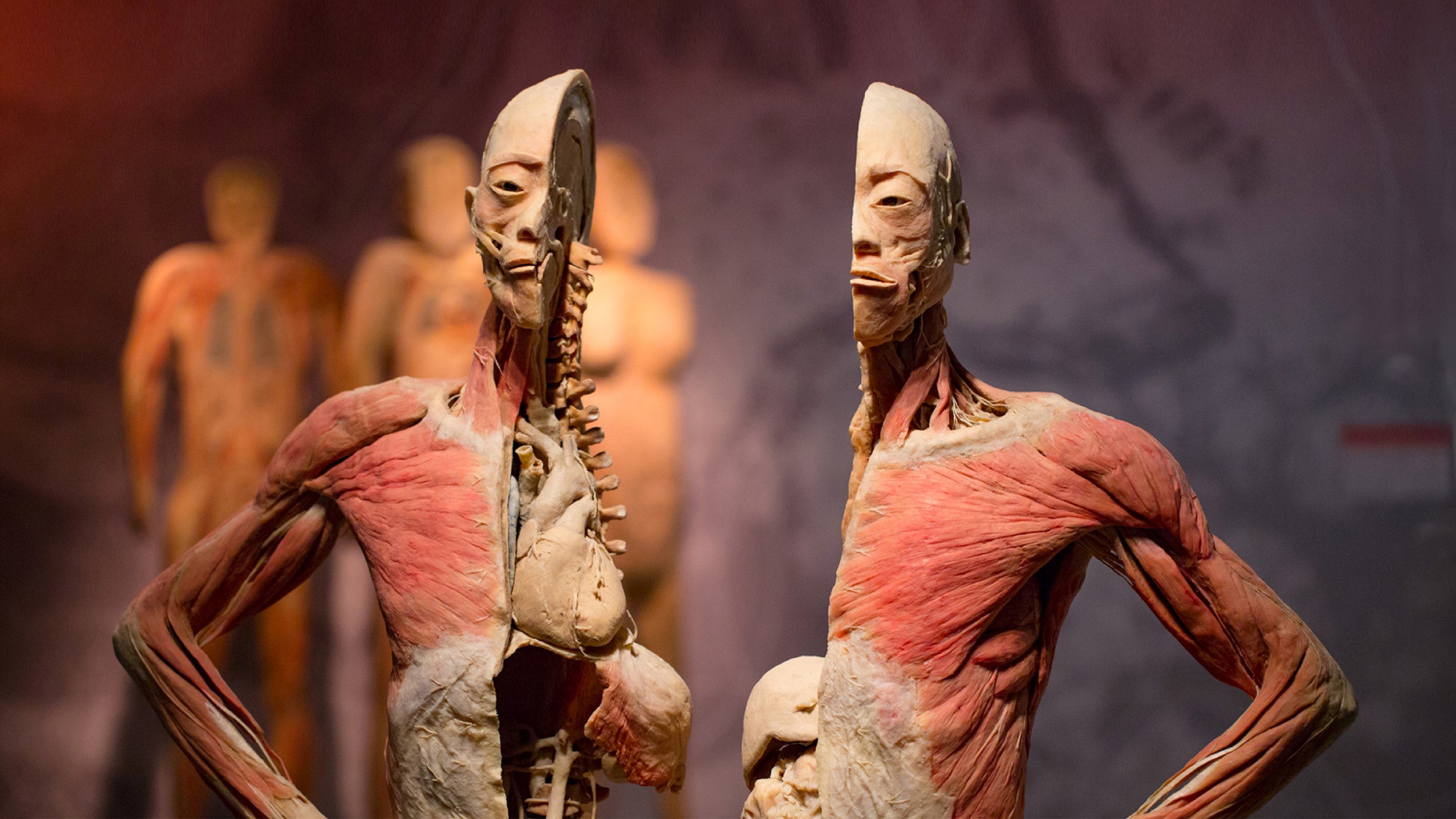 Real Bodies (Multiple Dates and Times)