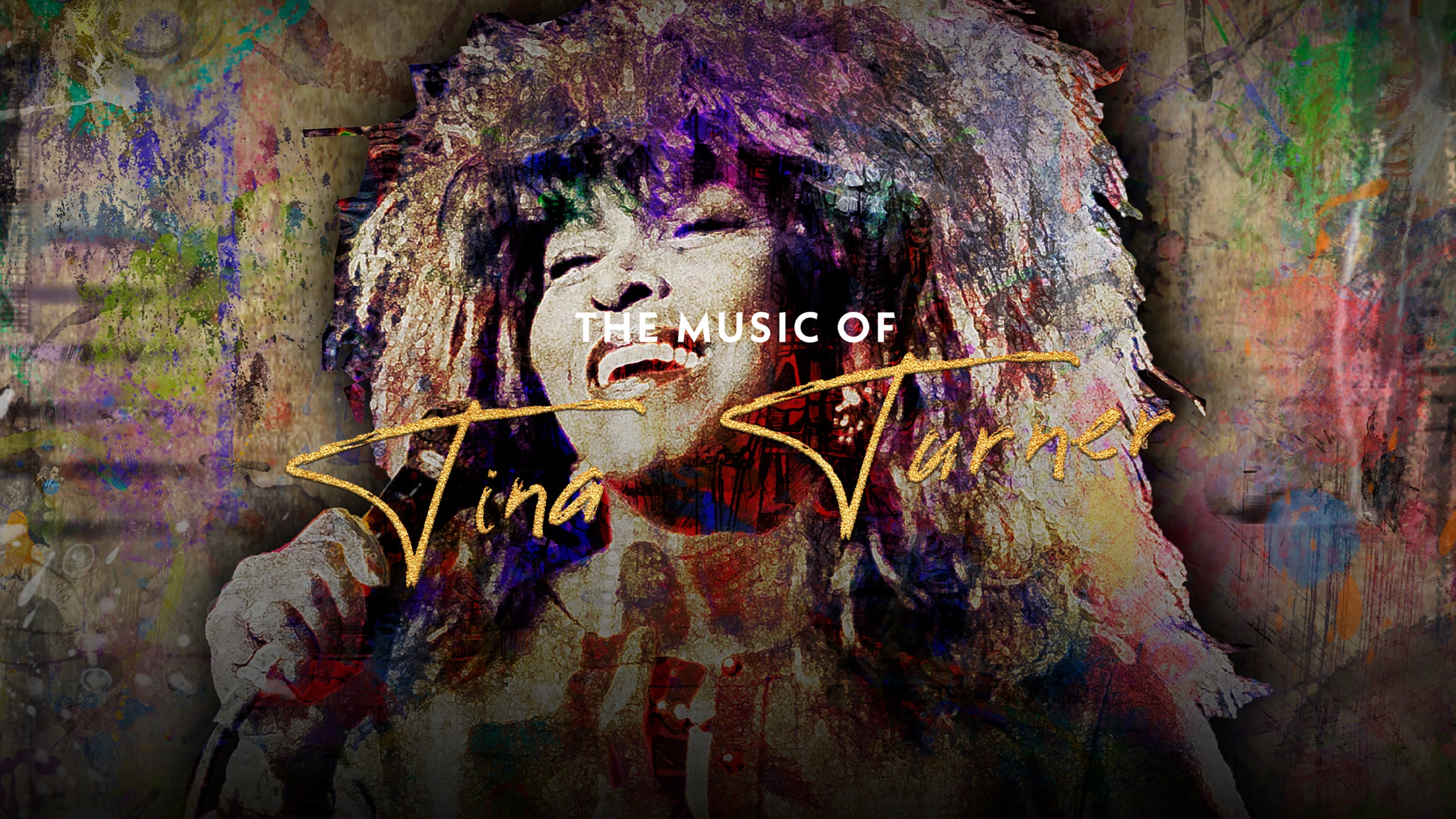 Simply The Best - Tina Turner Tribute