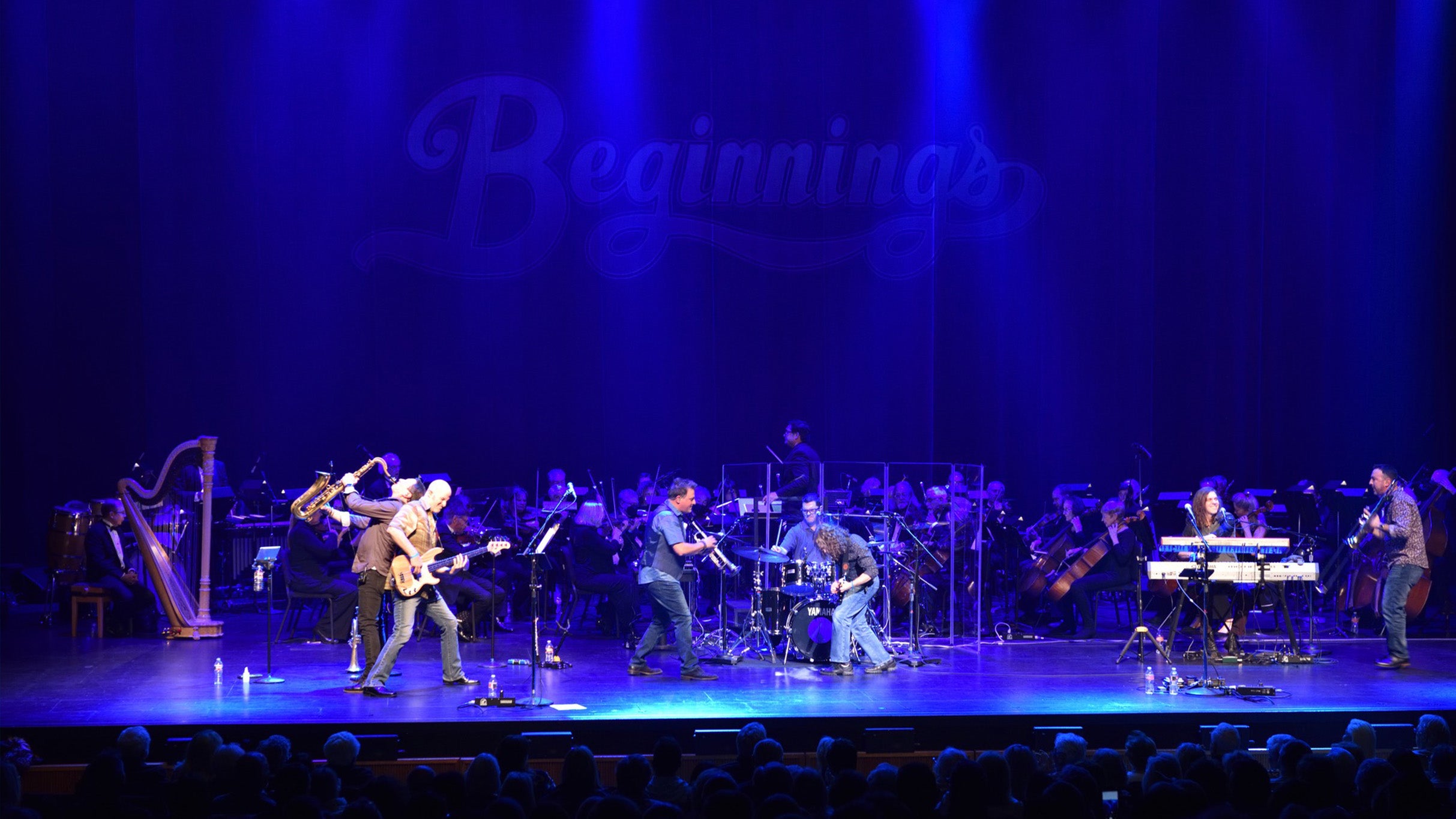 Beginnings - A Tribute To Chicago