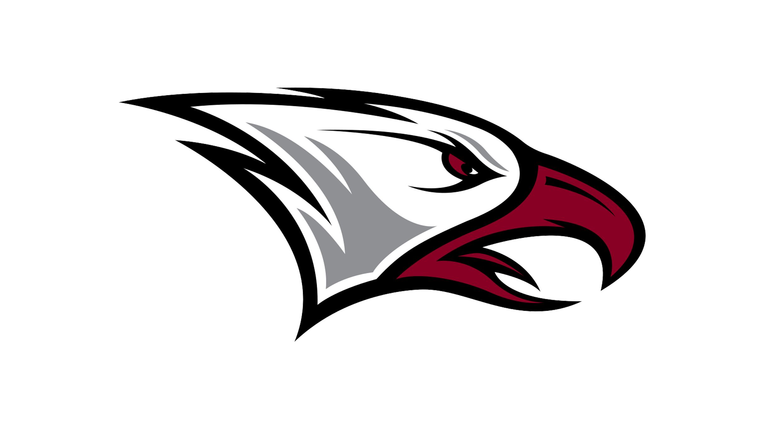South Carolina State Bulldogs vs. North Carolina Central Eagles