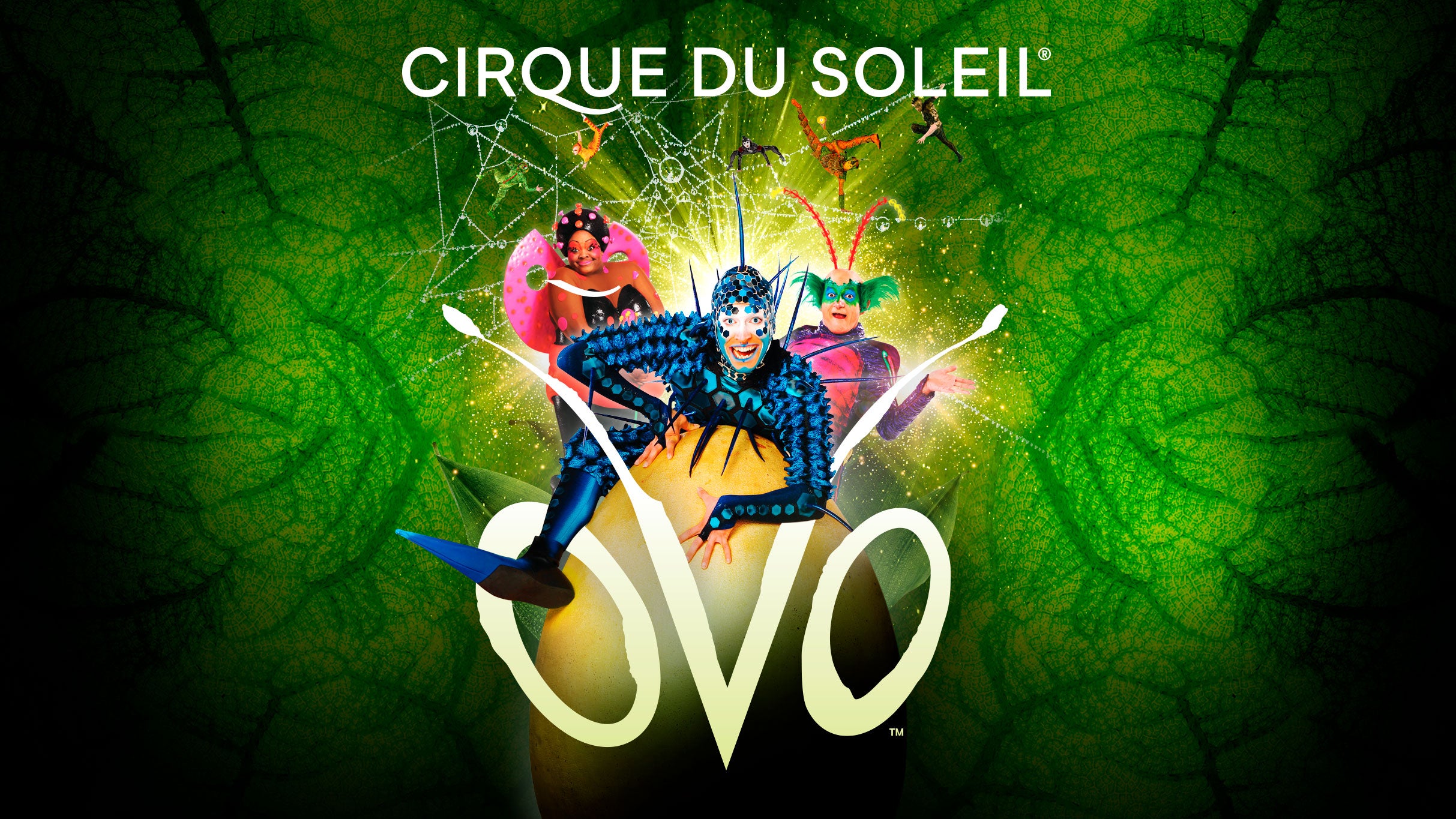 Cirque du Soleil - Drawn To Life