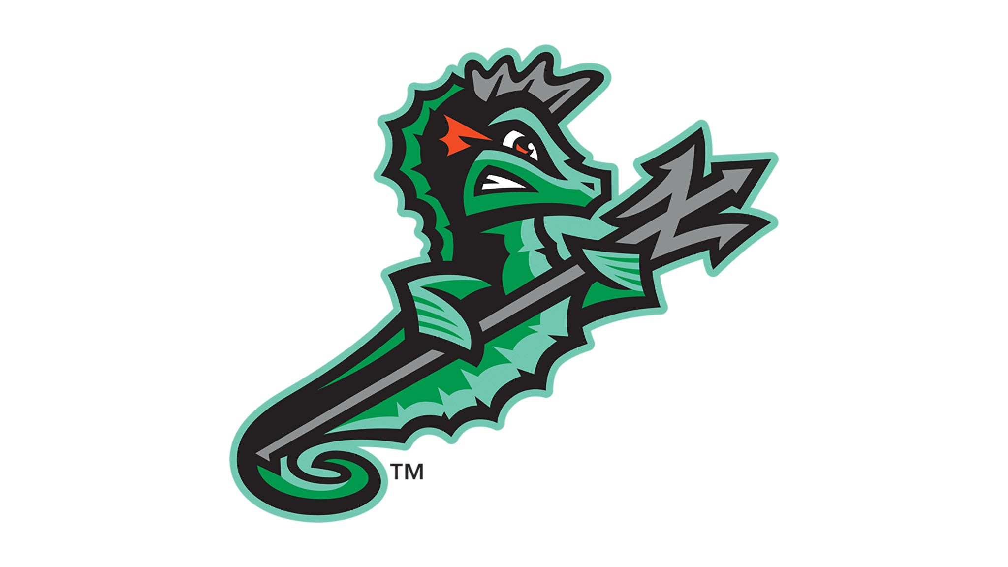 Durham Bulls vs. Norfolk Tides