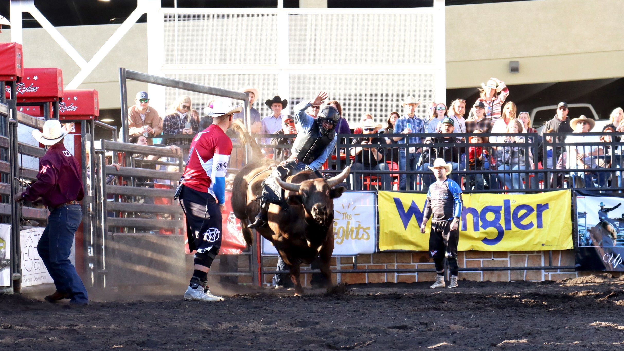 Xtreme Bulls